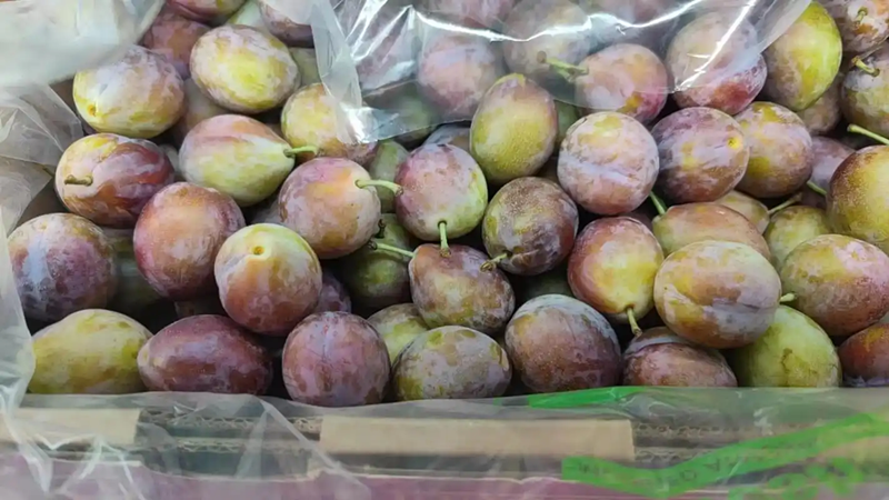 进口智利西梅-报关流程海运案例【新鲜水果】