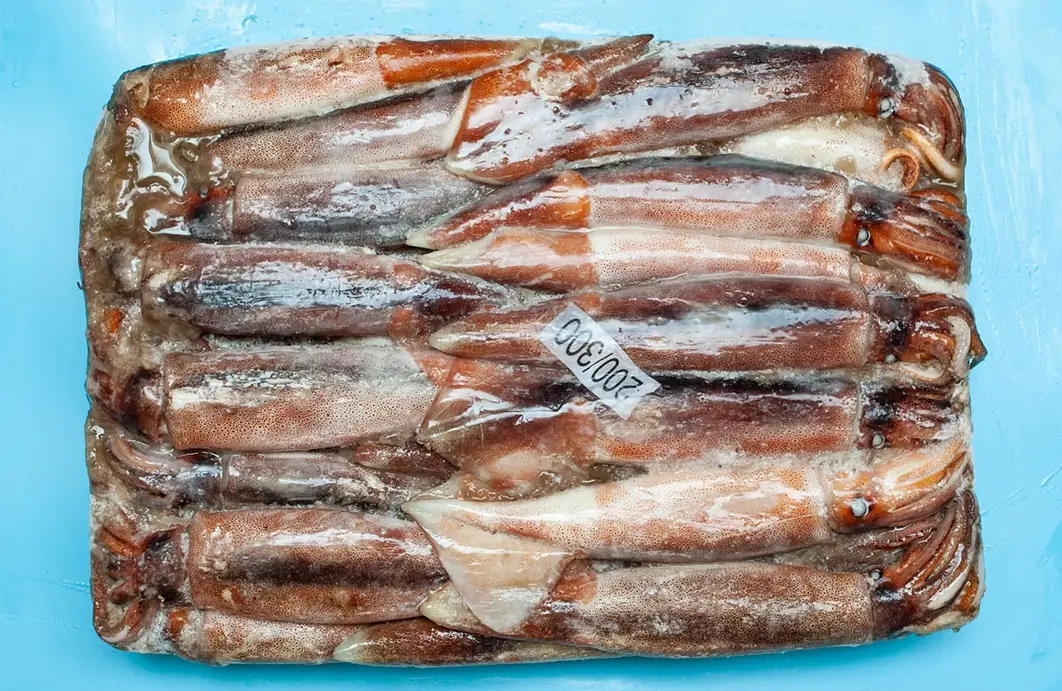 巴基斯坦鱿鱼进口到上海冷冻鱼清关案例