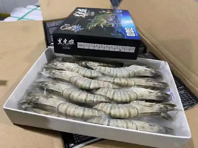 越南冷冻虾进口到上海外高桥-南美白对虾清关案例