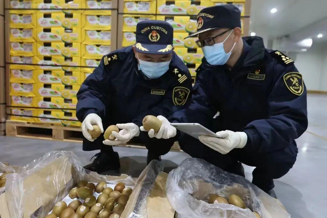 如何进口水果到中国清关报关