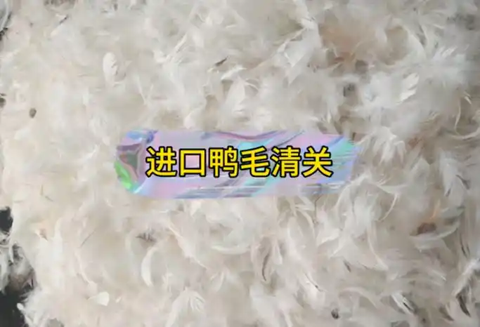 进口越南洗净鸭毛报关案例分析及注意事项