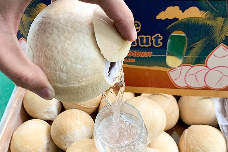 进口新鲜水果新鲜椰子清关报关实操案例