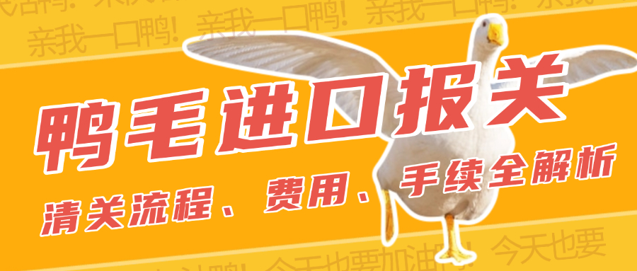 上海鸭毛进口报关公司哪家专业？清关流程、费用及手续全解析