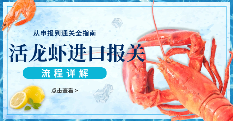 活龙虾进口报关流程详解：从申报到通关全指南