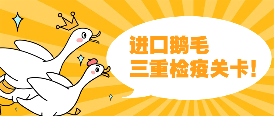 进口鹅毛的三重检疫关卡：动植物检疫、卫生证书与环保合规