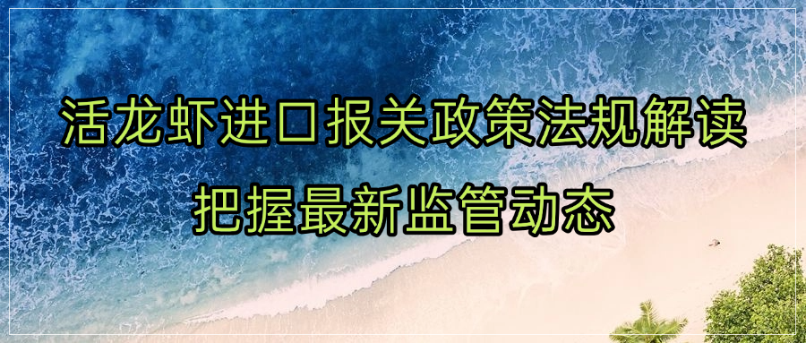 活龙虾进口报关政策法规解读：把握最新监管动态