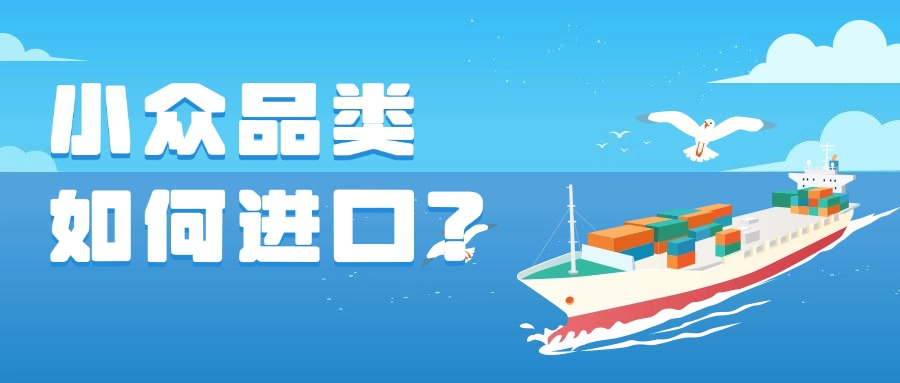 鸭毛、活龙虾也能轻松进口？小众品类如何进口？
