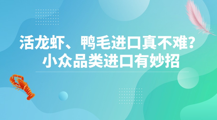 活龙虾、鸭毛进口真不难？小众品类进口有妙招