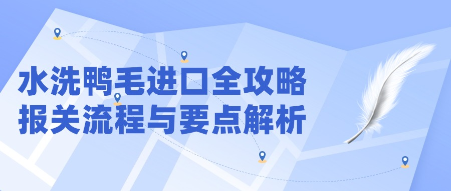 水洗鸭毛进口全攻略：报关流程与要点解析​