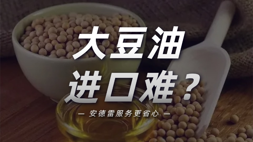 破解大豆油进口报关痛点，安德雷服务更省心