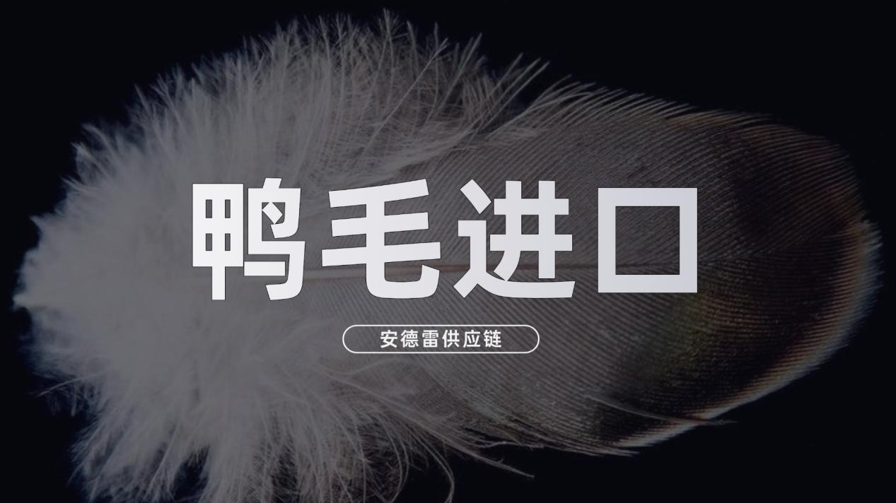 上海鸭毛进口报关，合规高效轻松通关！