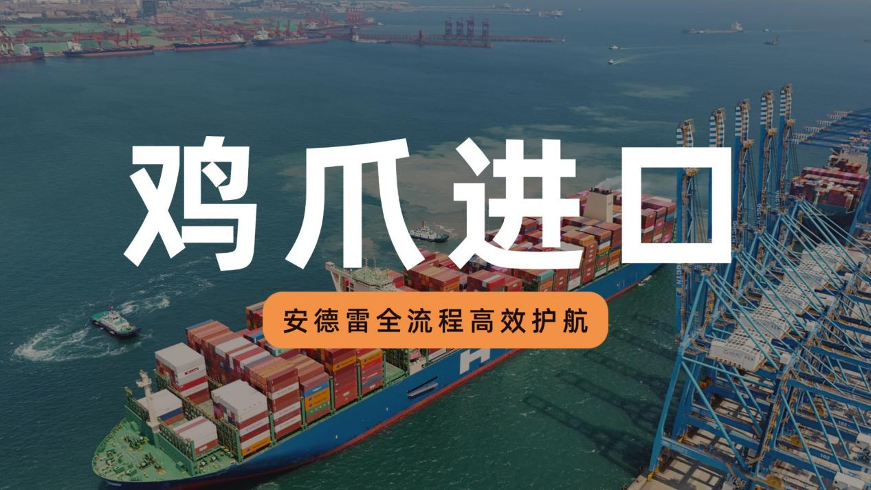 上海鸡爪报关，全流程高效护航