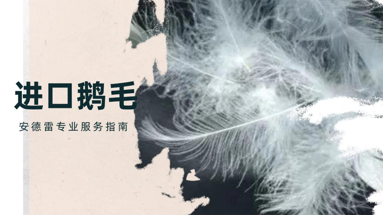 上海进口鹅毛报关：安德雷专业服务指南