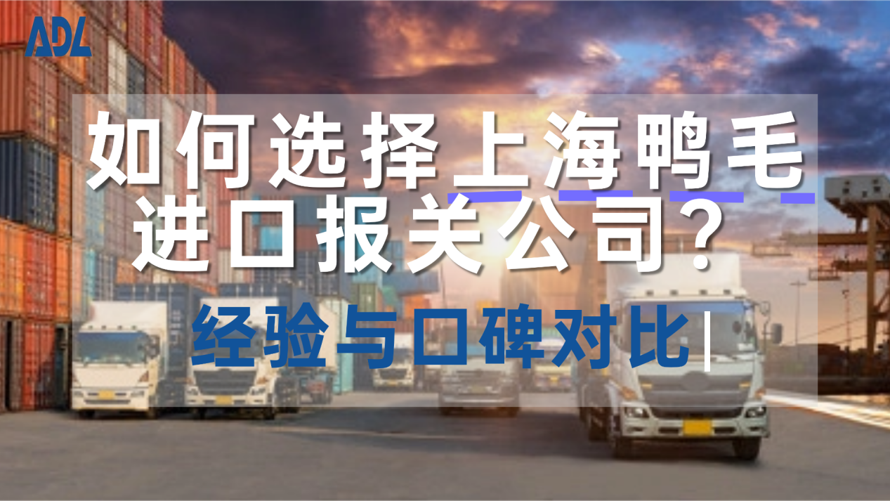 如何选择上海鸭毛进口报关公司？经验与口碑对比