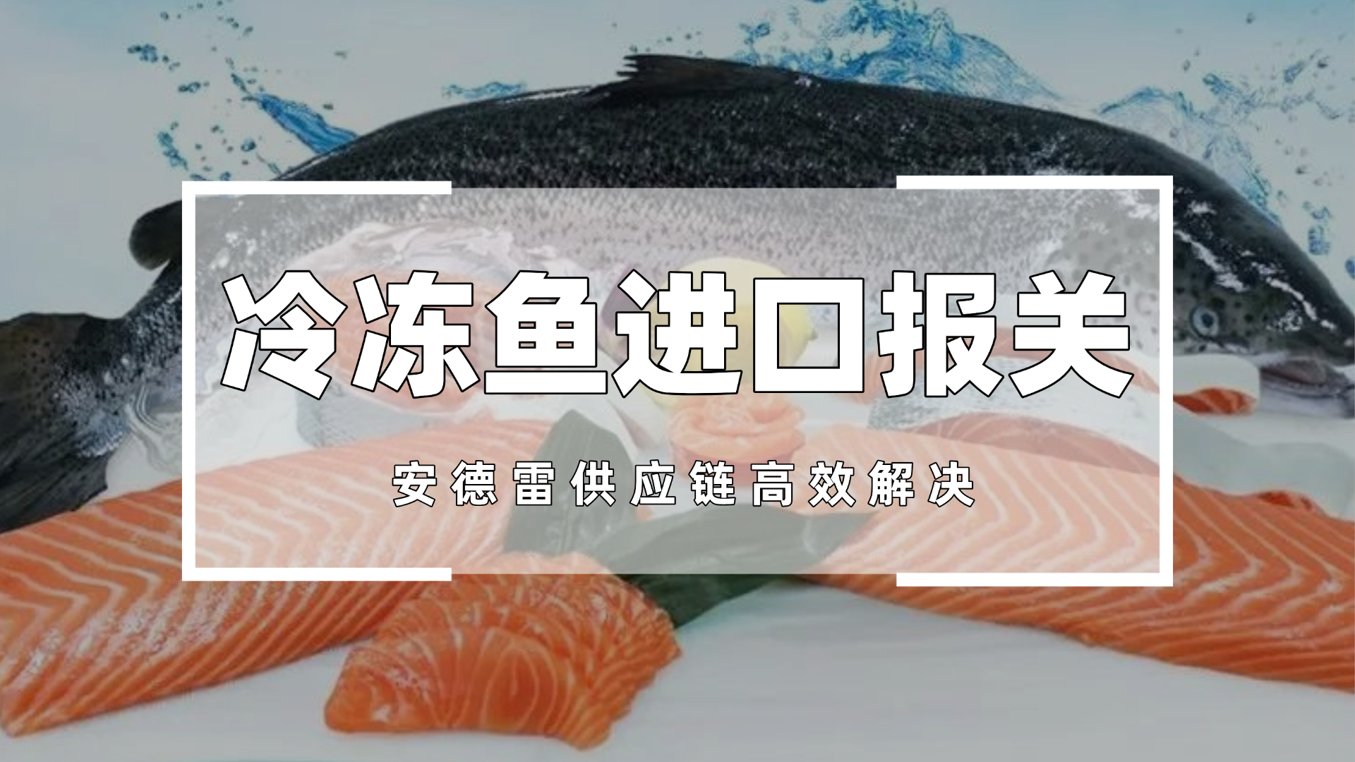 冷冻鱼进口报关难通过？安德雷供应链高效解决
