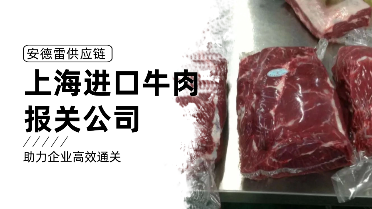 专业牛肉进口报关：安德雷供应链助力企业高效通关