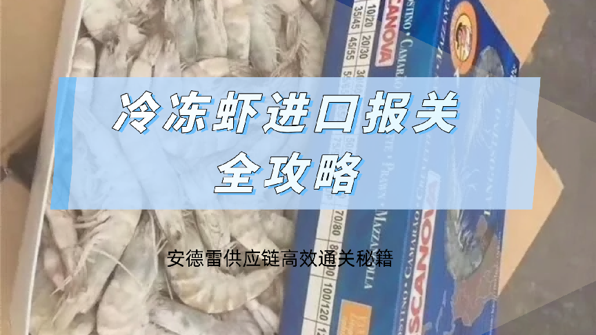 冷冻虾进口报关全攻略：安德雷供应链高效通关秘籍