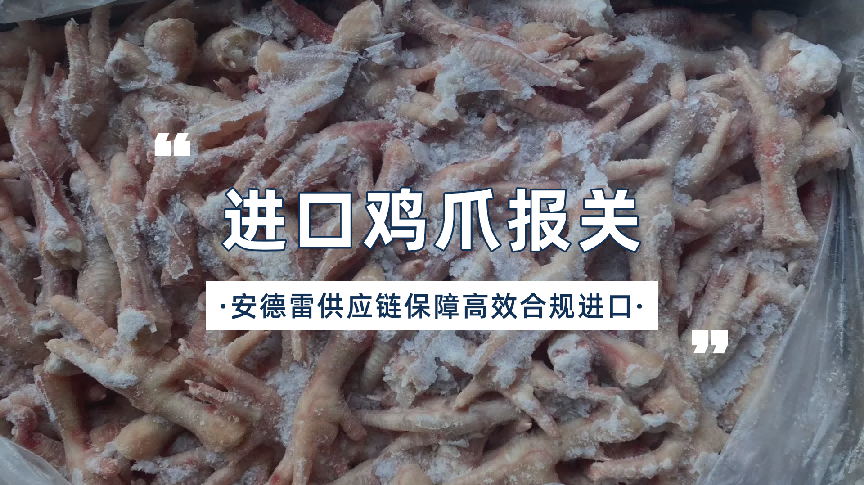 专业进口鸡爪报关：安德雷供应链保障高效合规进口