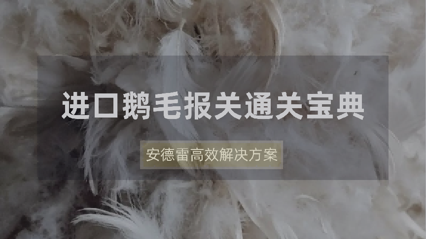 进口鹅毛报关通关宝典：安德雷高效解决方案